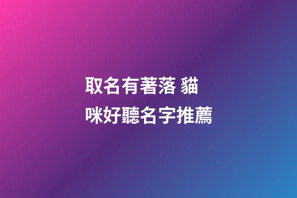 取名有著落 貓咪好聽名字推薦